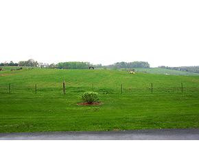 138 Kincheloe Road Fall Branch, TN 37656 - Photo 3 of 8 Photo 3