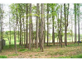 138 Kincheloe Road Fall Branch, TN 37656 - Photo 8 of 8 Photo 8