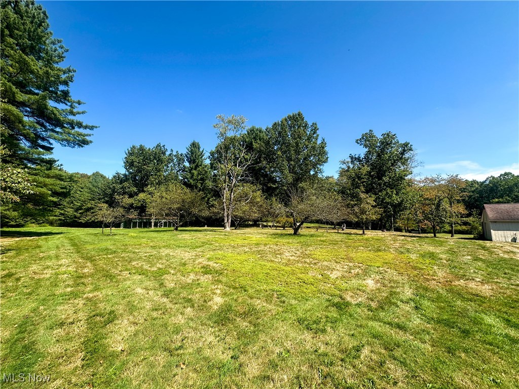 4875 Cadwallader-Sonk Road Fowler, OH 44418 - Photo 8 of 50 Backyard