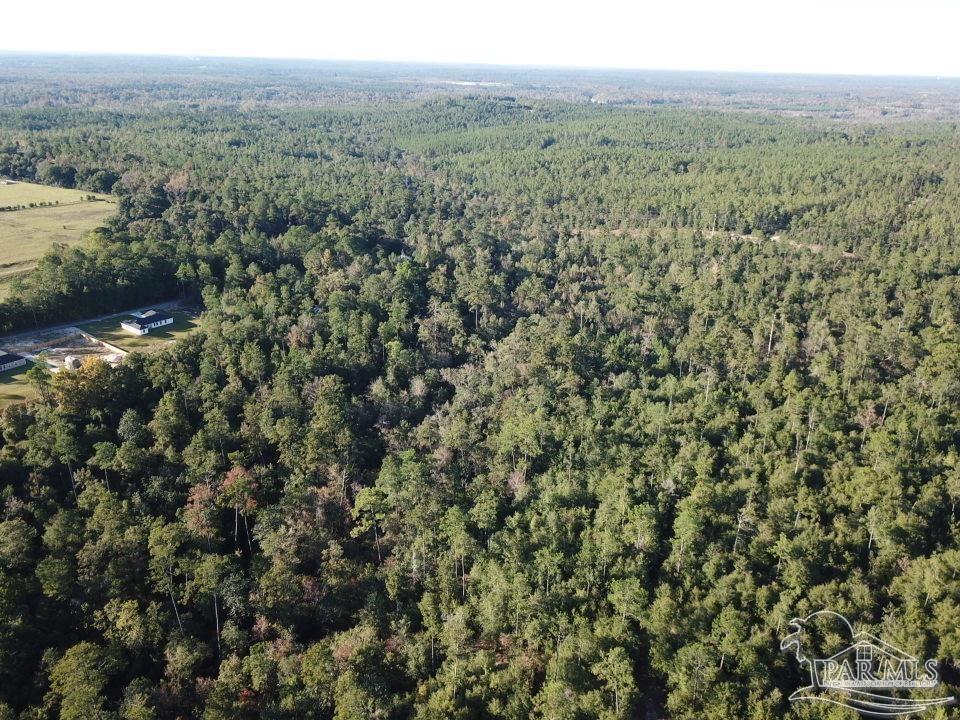 85-acres Wiley Scott Road Jay, FL 32565 - Photo 7 of 9