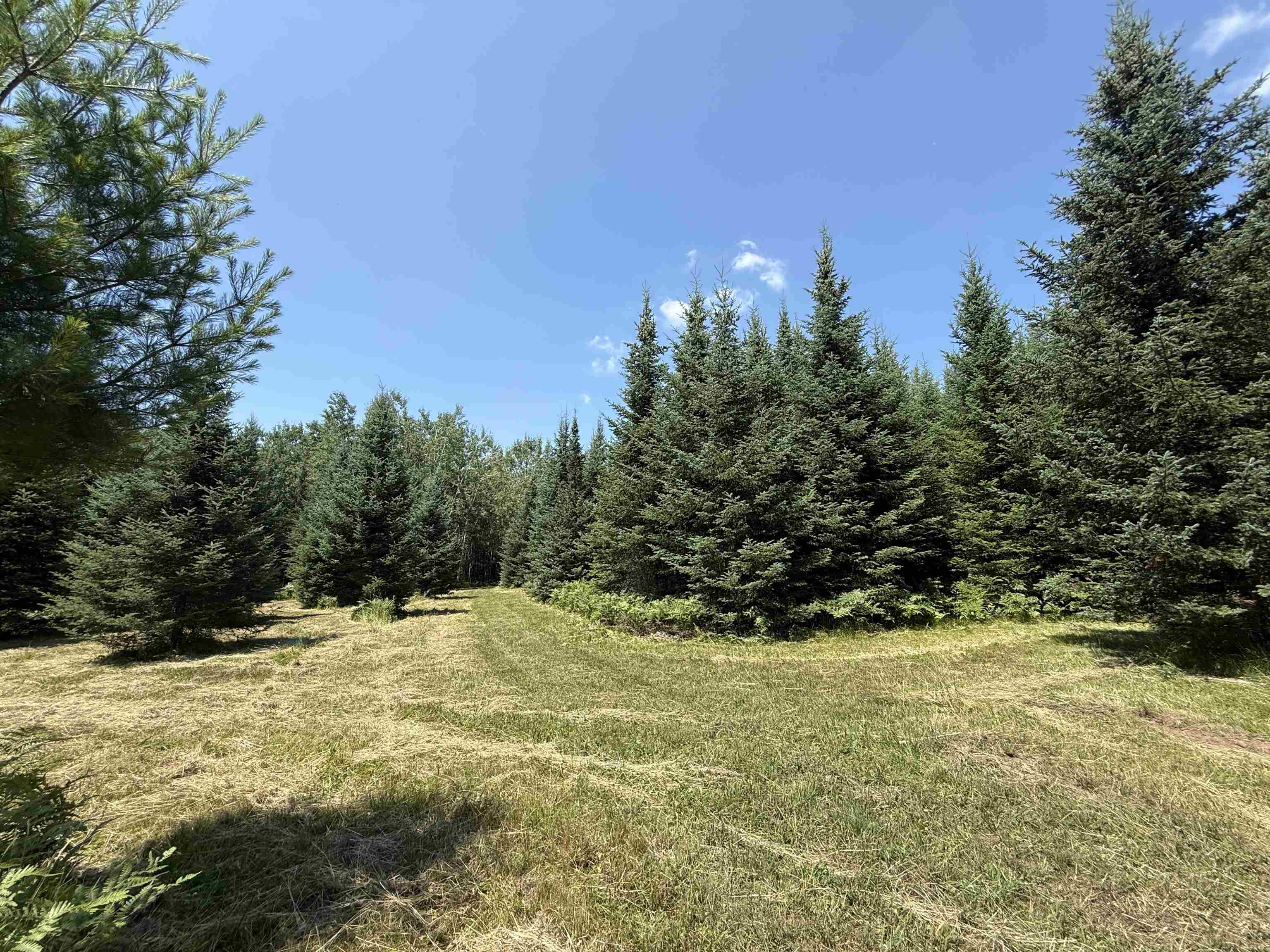 Red Hickory Road Eland, WI 54427 - Photo 15 of 28