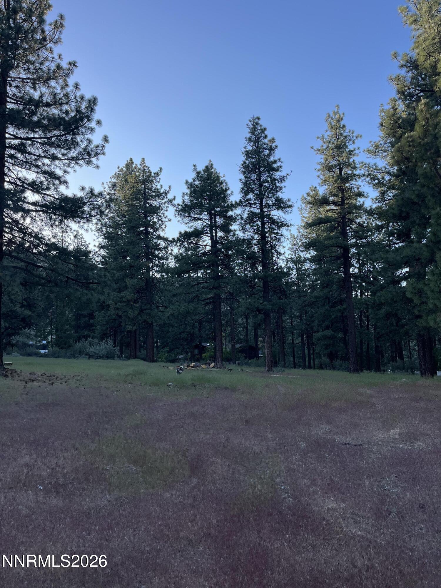 4300 Meadow Wood Road Carson City, NV 89703 - Photo 12 of 15 a view of outdoor space with trees
