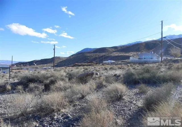 a view of a dry yard