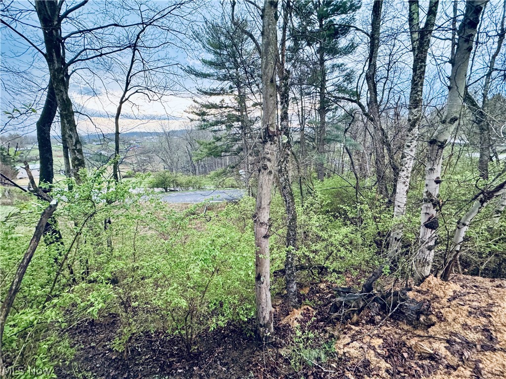 Saylor Road Morgantown, WV 26501 - Photo 4 of 11 FROM THE TOP OF THE PROPERTY LOOKING DOWN TOWARD THE ROAD