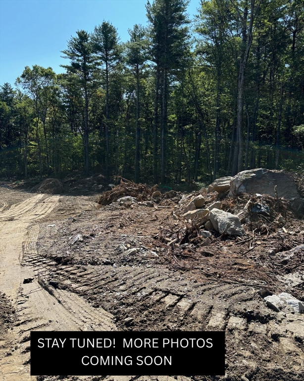 Lot 1 Quarry Road Acton, MA 01720 - Photo 3 of 11 a view of a tree