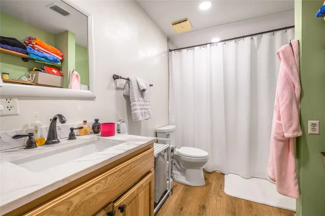 a bathroom with a sink a toilet and shower curtain