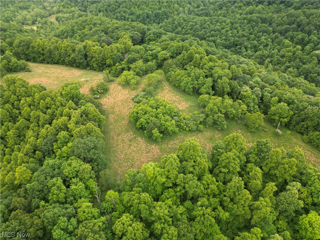 6300 Altizer Road Arnoldsburg, WV 25234 - Photo 23 of 26 Gallery Image 23