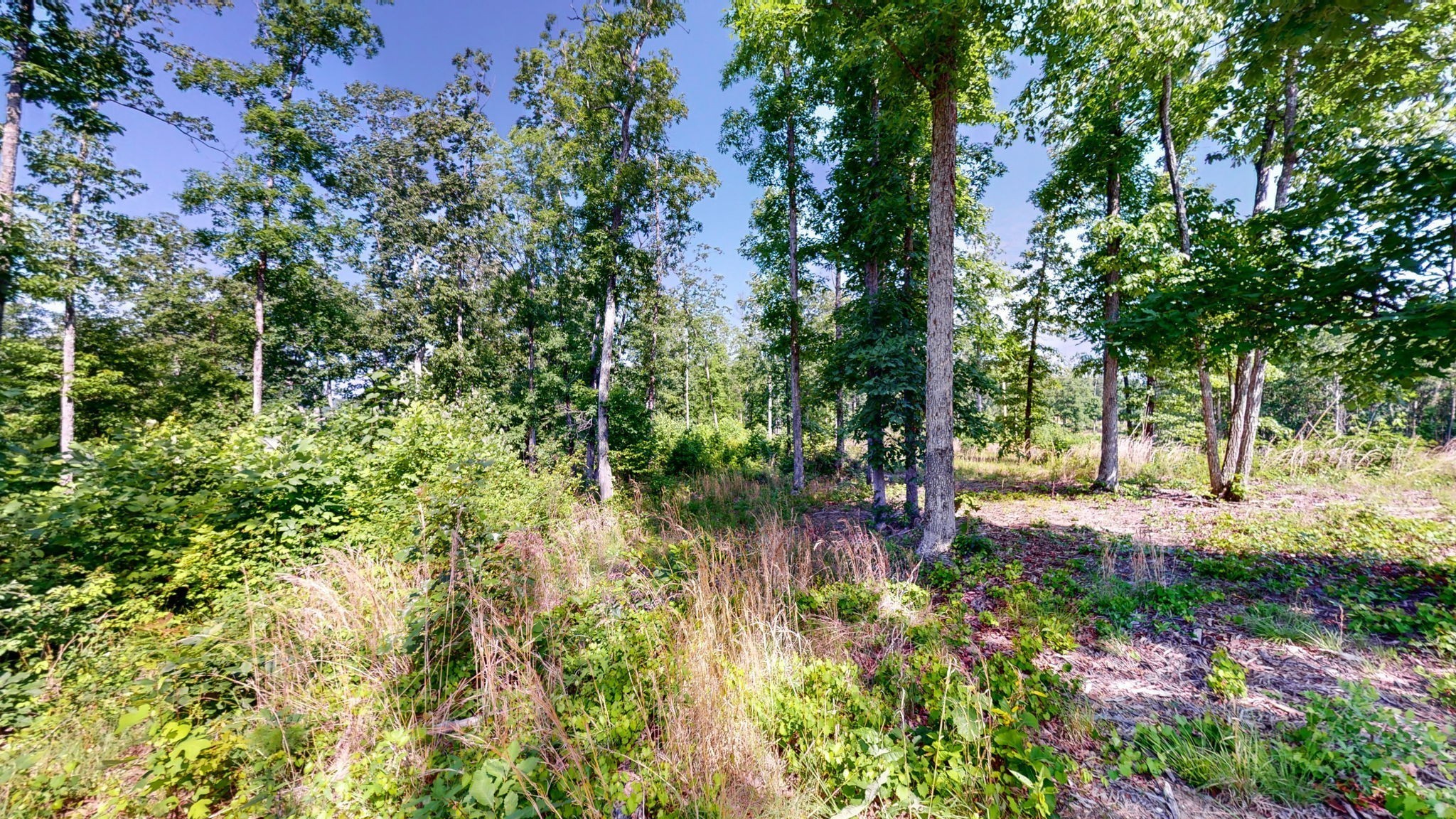 820 Overlook Trail Stewart, TN 37175 - Photo 11 of 33 a view of yard with green space