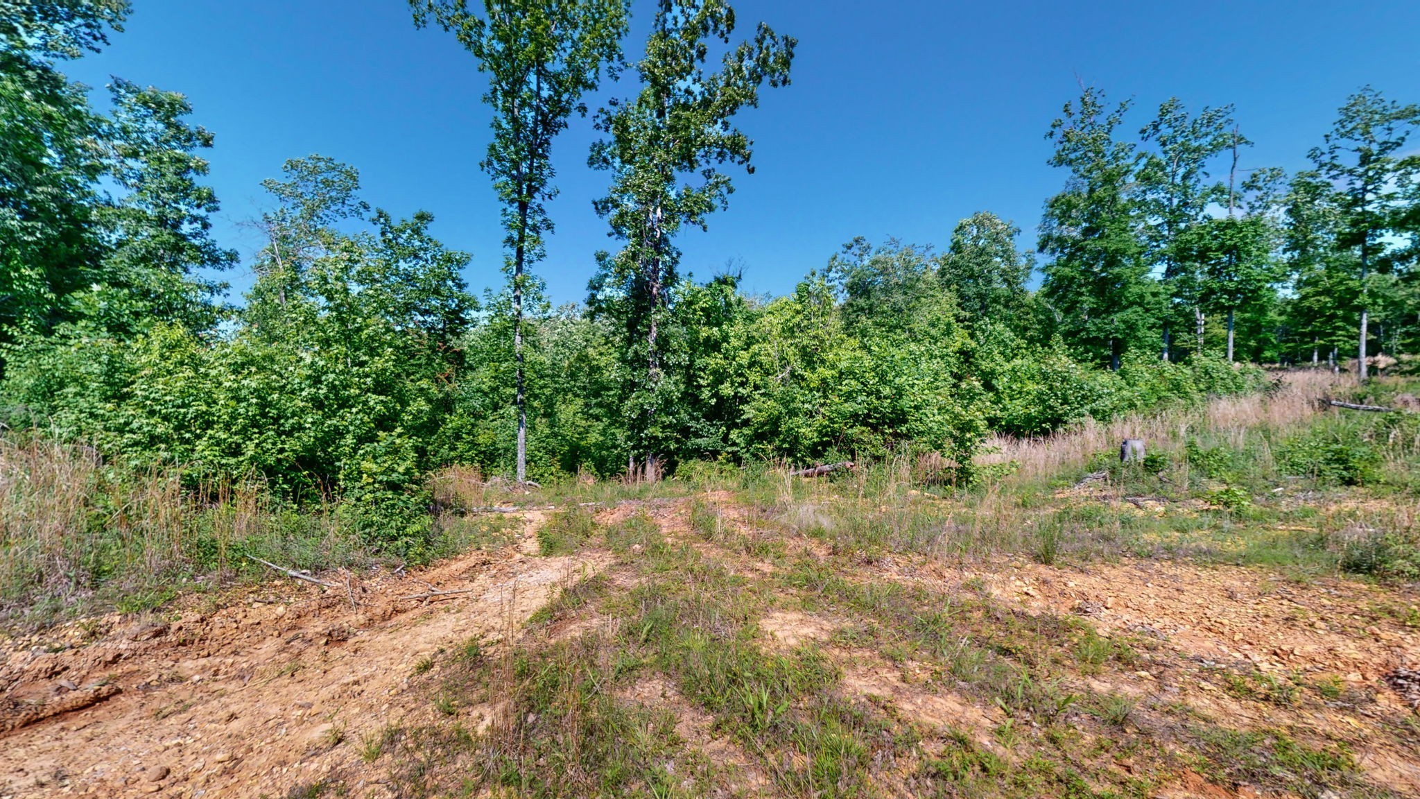 820 Overlook Trail Stewart, TN 37175 - Photo 16 of 33 a view of a yard with plants and a tree
