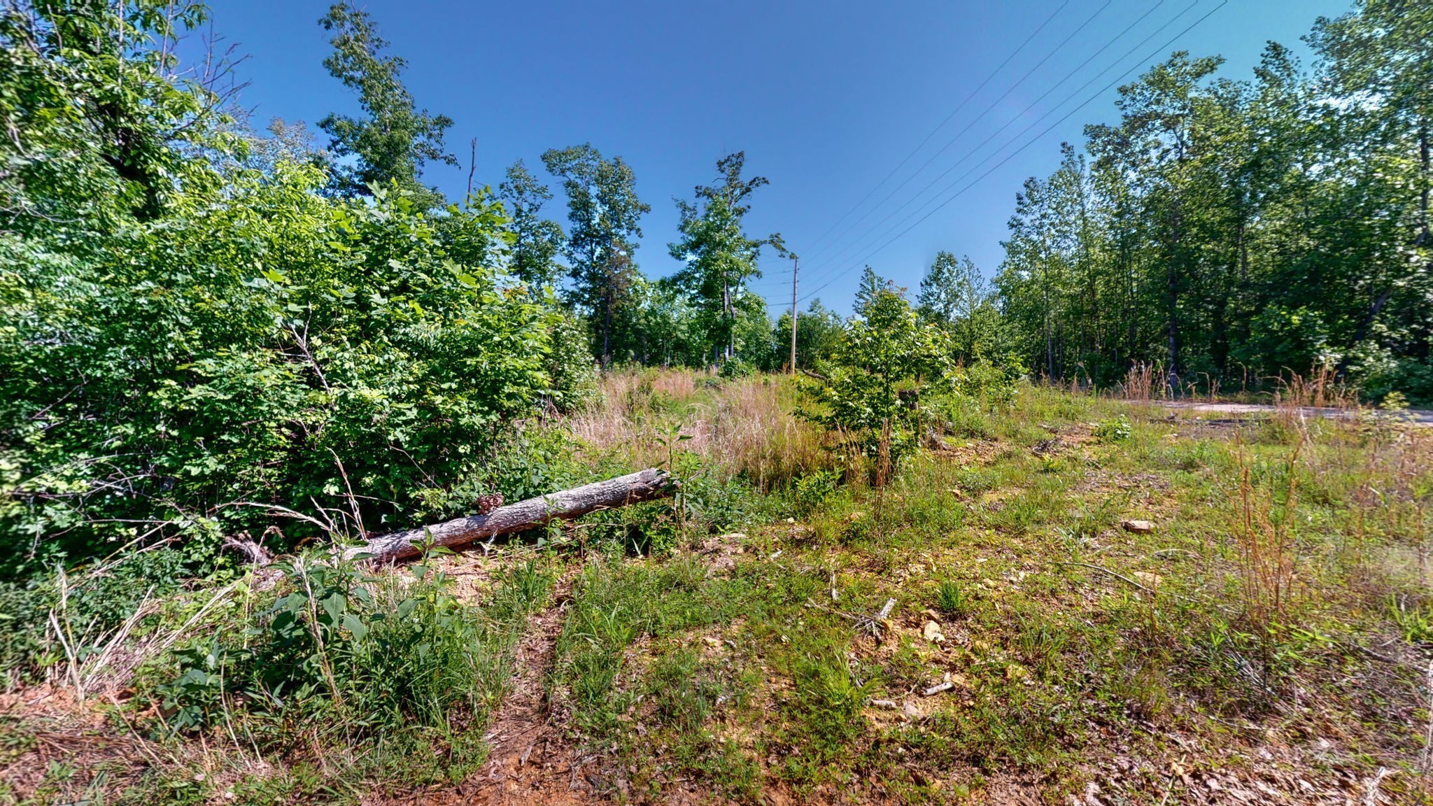 820 Overlook Trail Stewart, TN 37175 - Photo 18 of 33 a view of a yard with plants and large trees