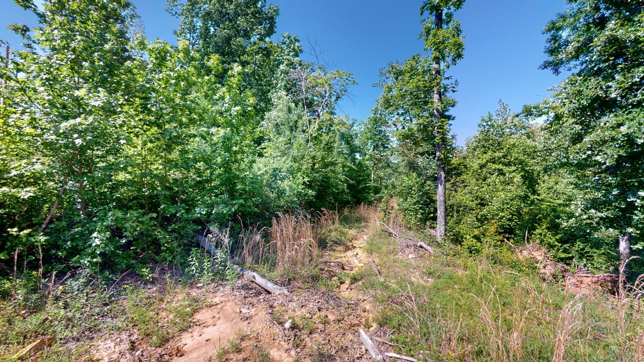 820 Overlook Trail Stewart, TN 37175 - Photo 19 of 33 a backyard of a house with lots of green space