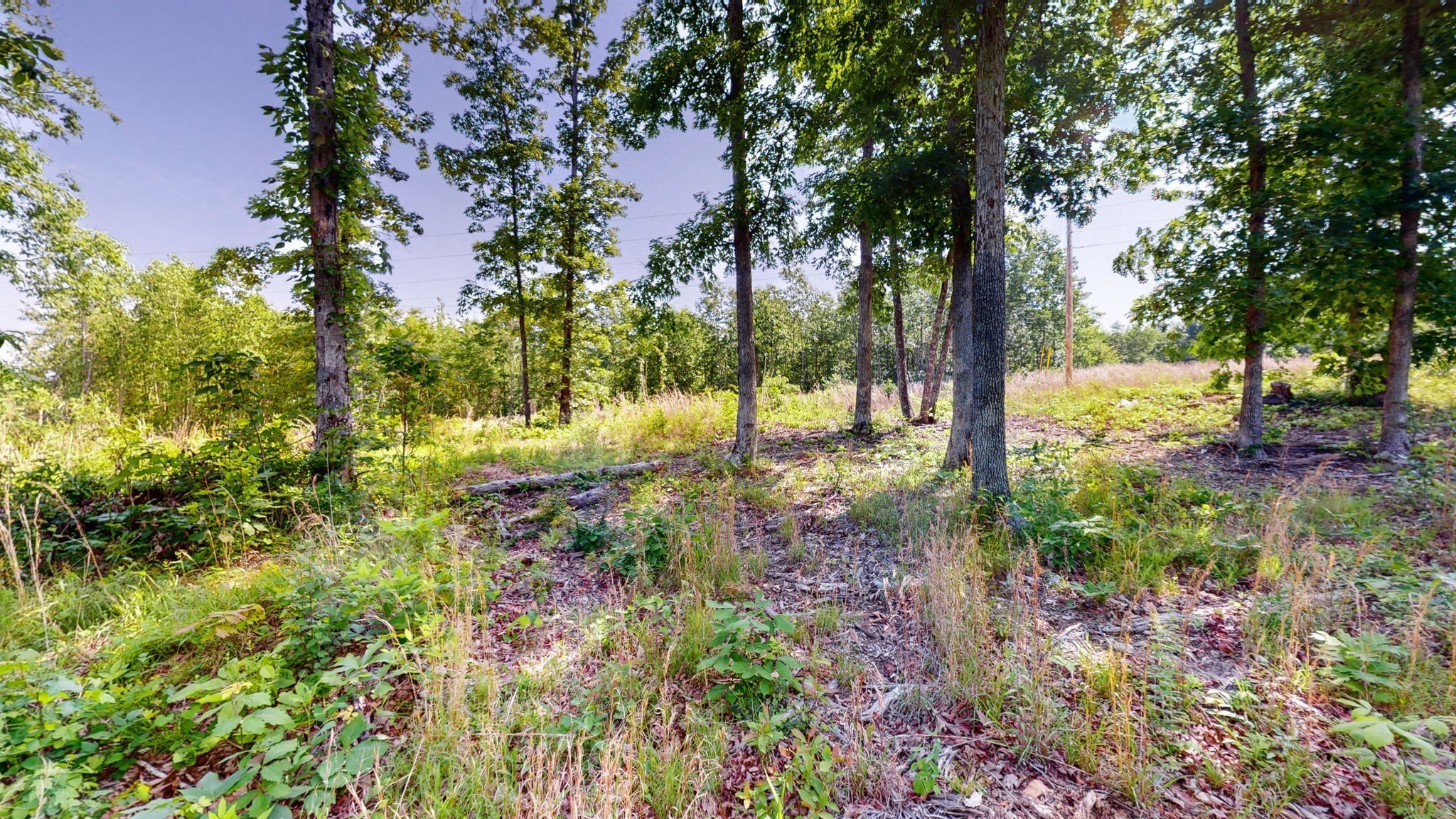820 Overlook Trail Stewart, TN 37175 - Photo 2 of 33 a view of a yard with plants and trees