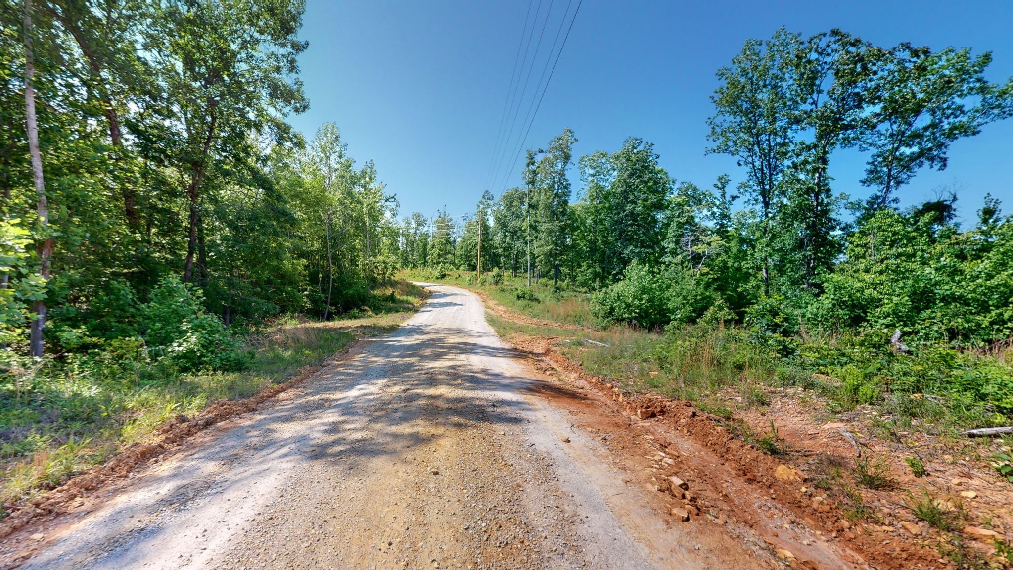 820 Overlook Trail Stewart, TN 37175 - Photo 24 of 33 a view of a yard with plants and a trees