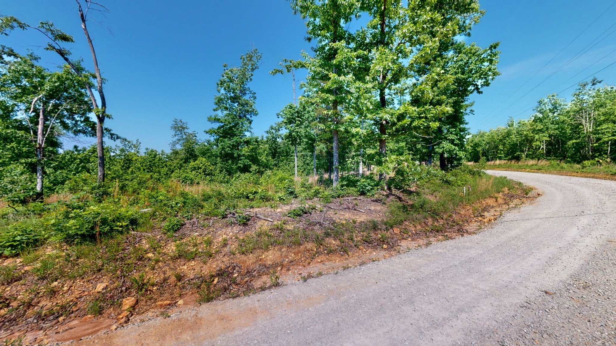 820 Overlook Trail Stewart, TN 37175 - Photo 25 of 33 a view of a road with plants and large trees