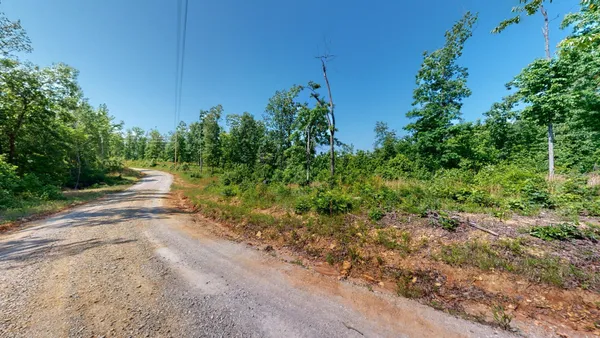 a view of a yard with plants and a trees