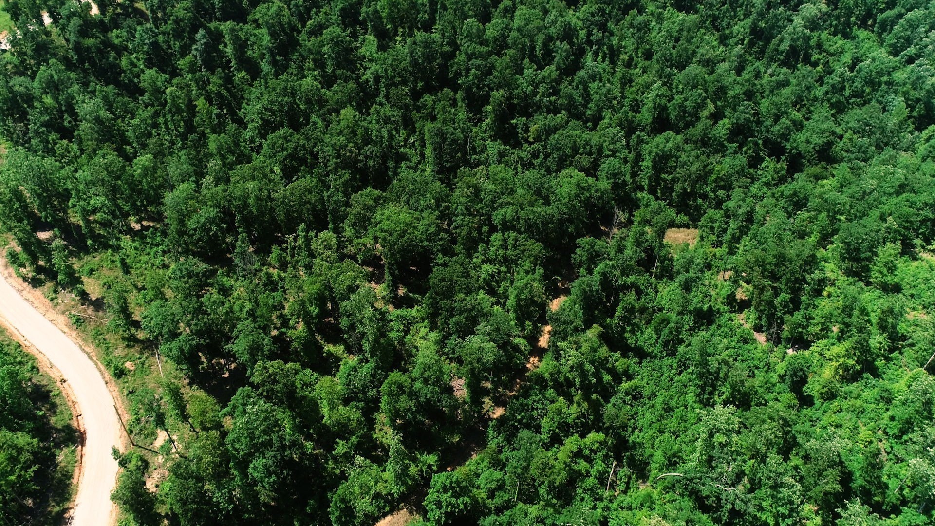 820 Overlook Trail Stewart, TN 37175 - Photo 29 of 33 a view of a lush green forest