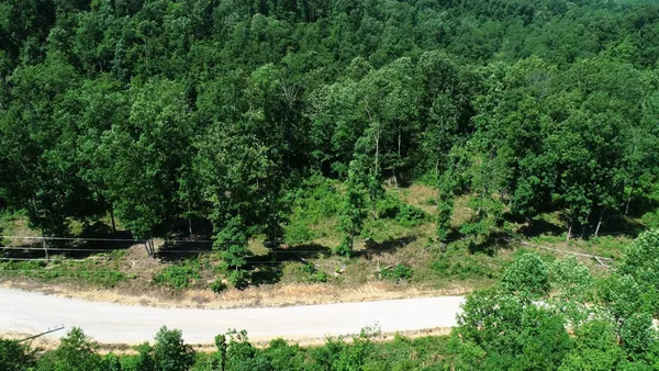 a view of yard with green space
