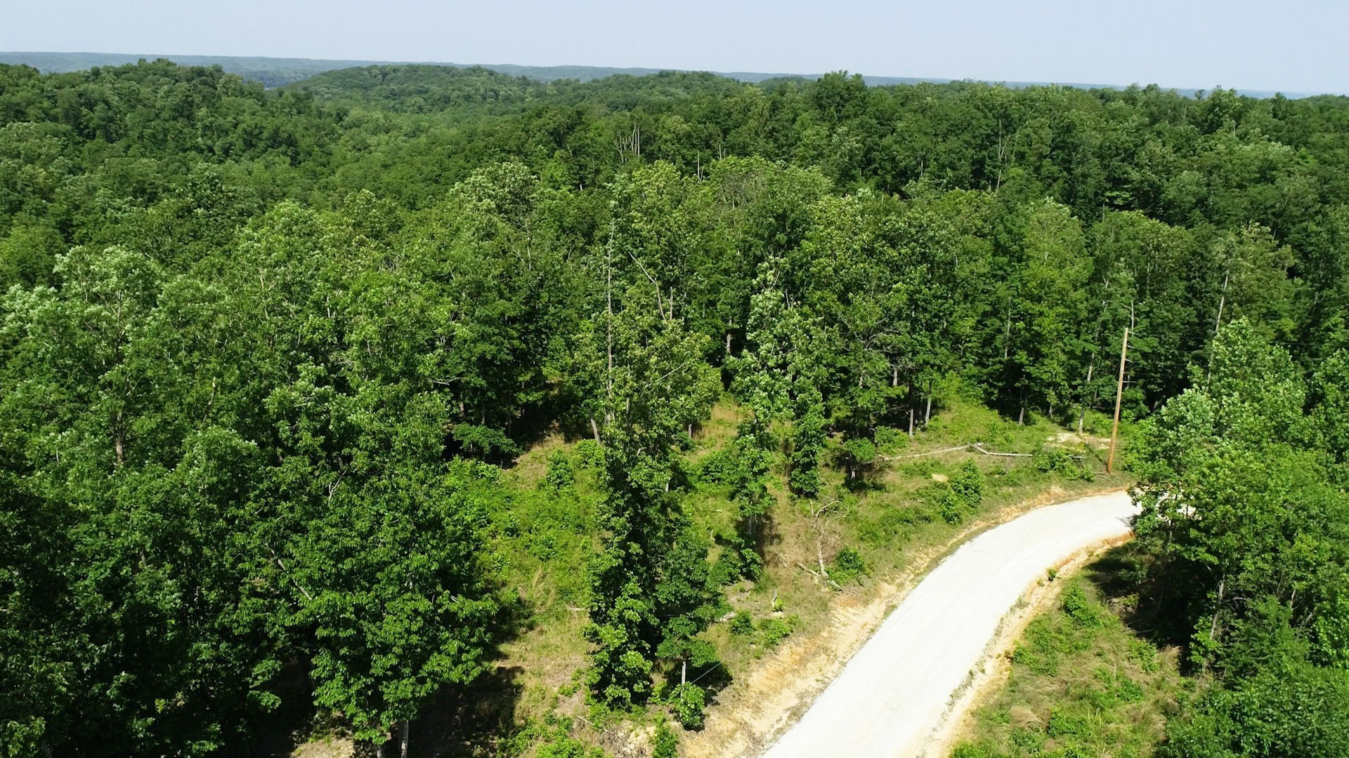 820 Overlook Trail Stewart, TN 37175 - Photo 32 of 33 a view of a lush green forest with trees and houses
