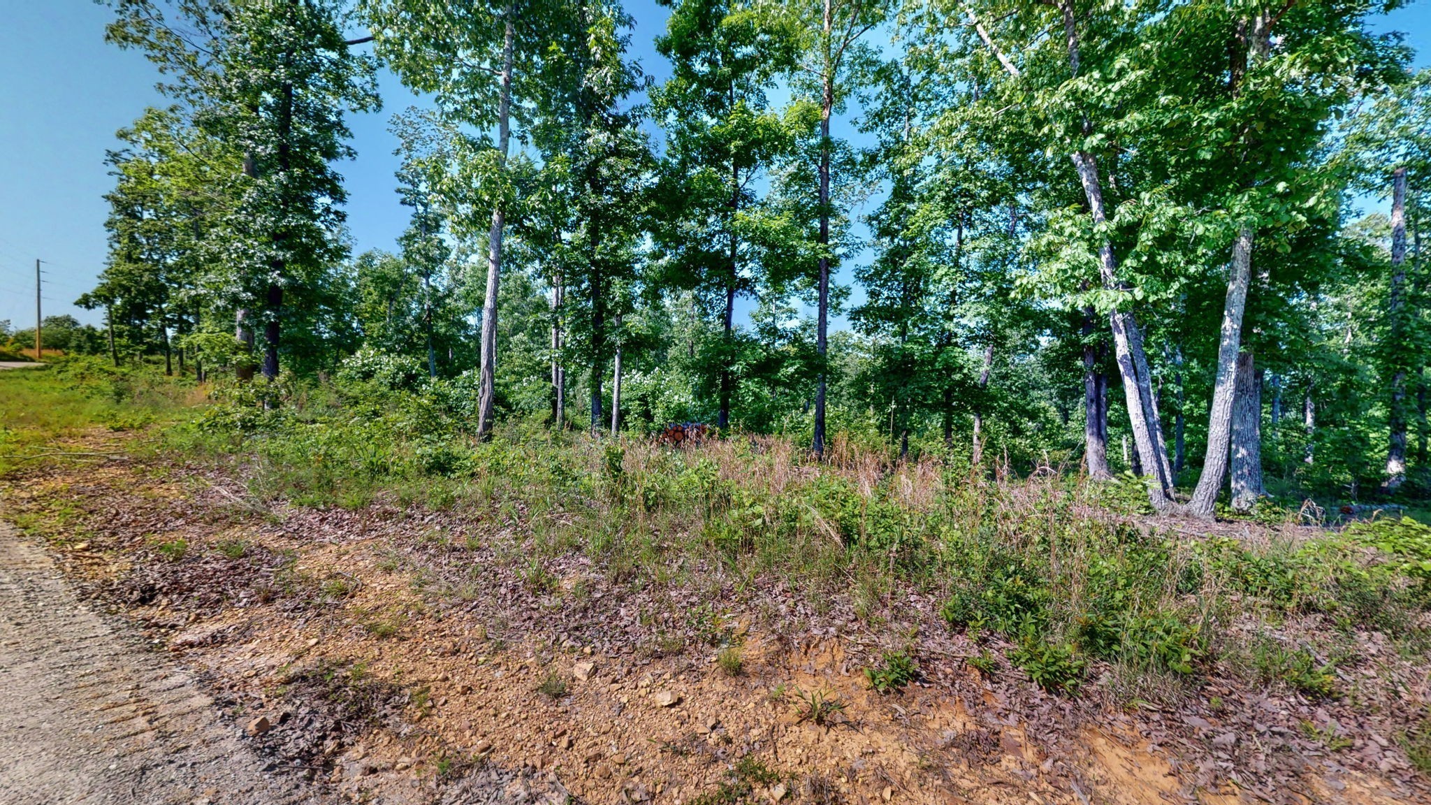 820 Overlook Trail Stewart, TN 37175 - Photo 7 of 33 a view of a lush green forest