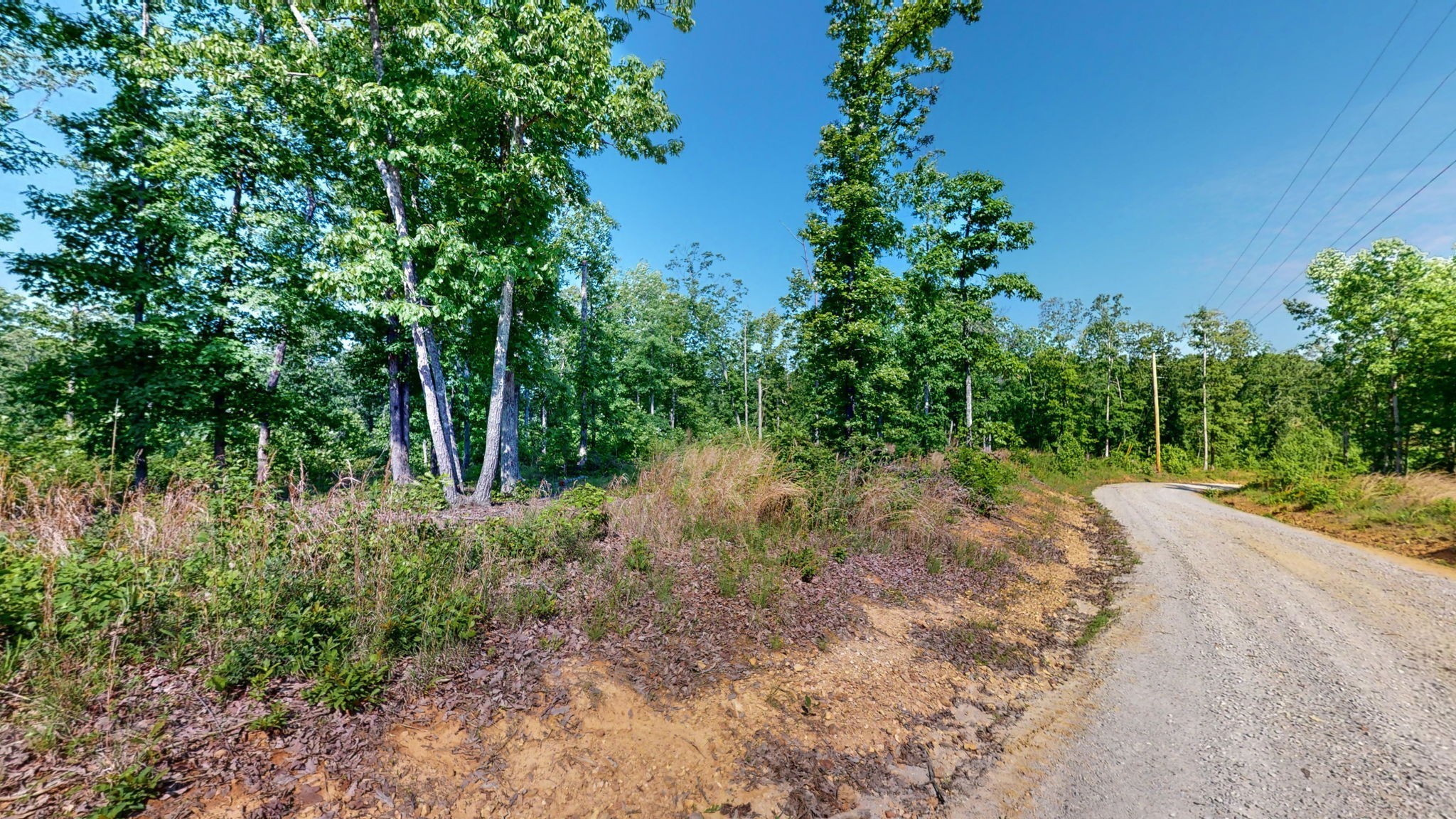 820 Overlook Trail Stewart, TN 37175 - Photo 8 of 33 a view of a yard with plants and a tree