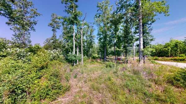 a view of backyard with tree