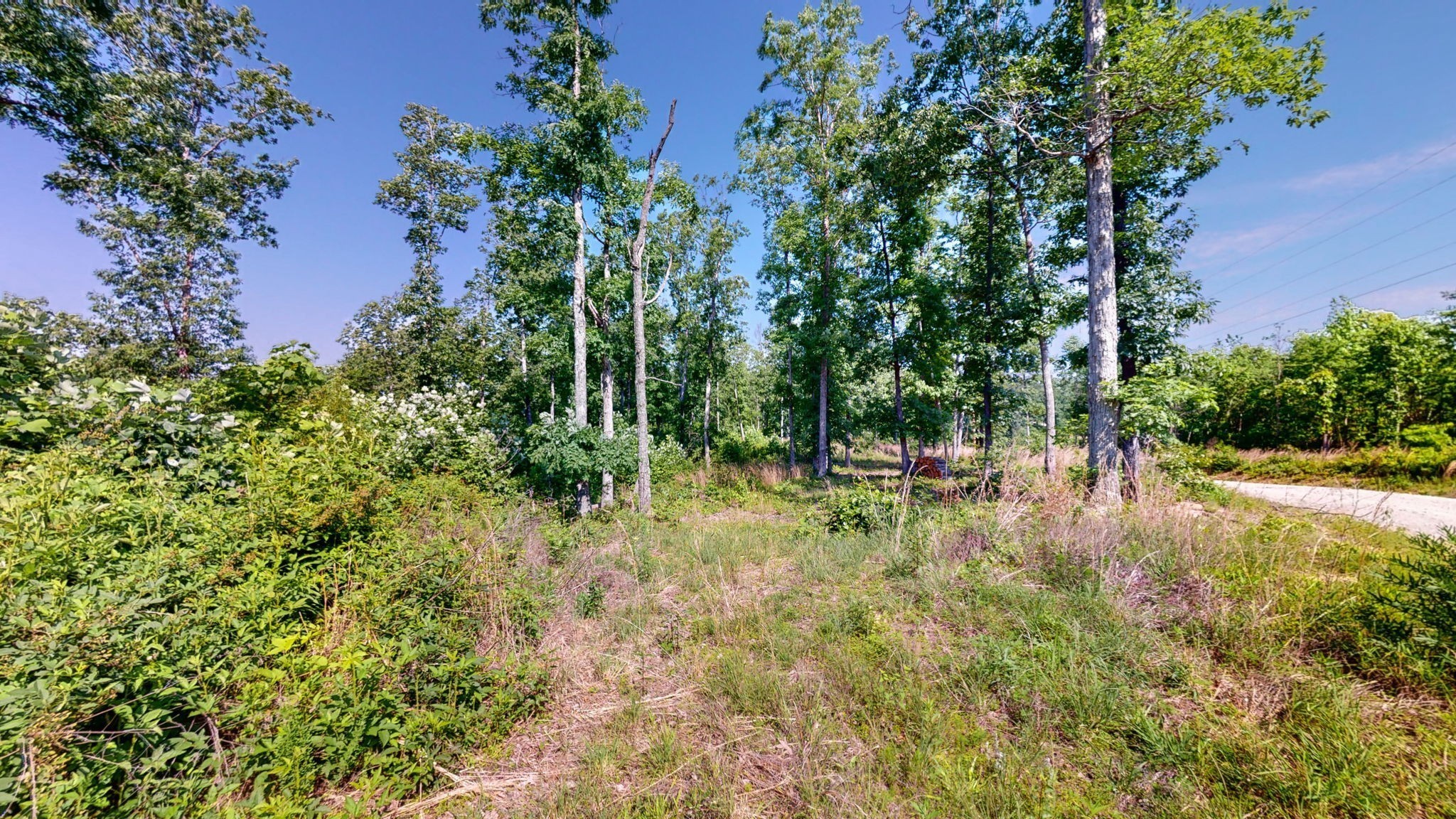 820 Overlook Trail Stewart, TN 37175 - Photo 9 of 33 a view of backyard with tree