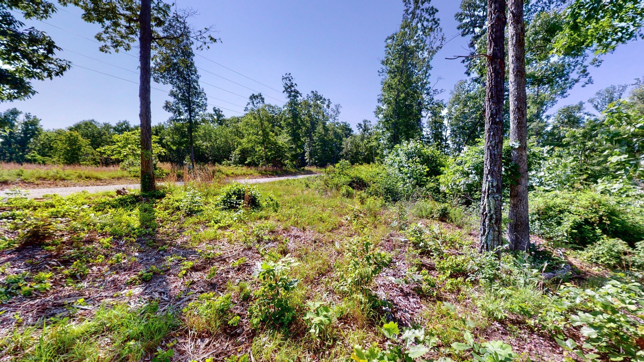 820 Overlook Trail Stewart, TN 37175 - Photo 10 of 33 a view of a garden with an trees