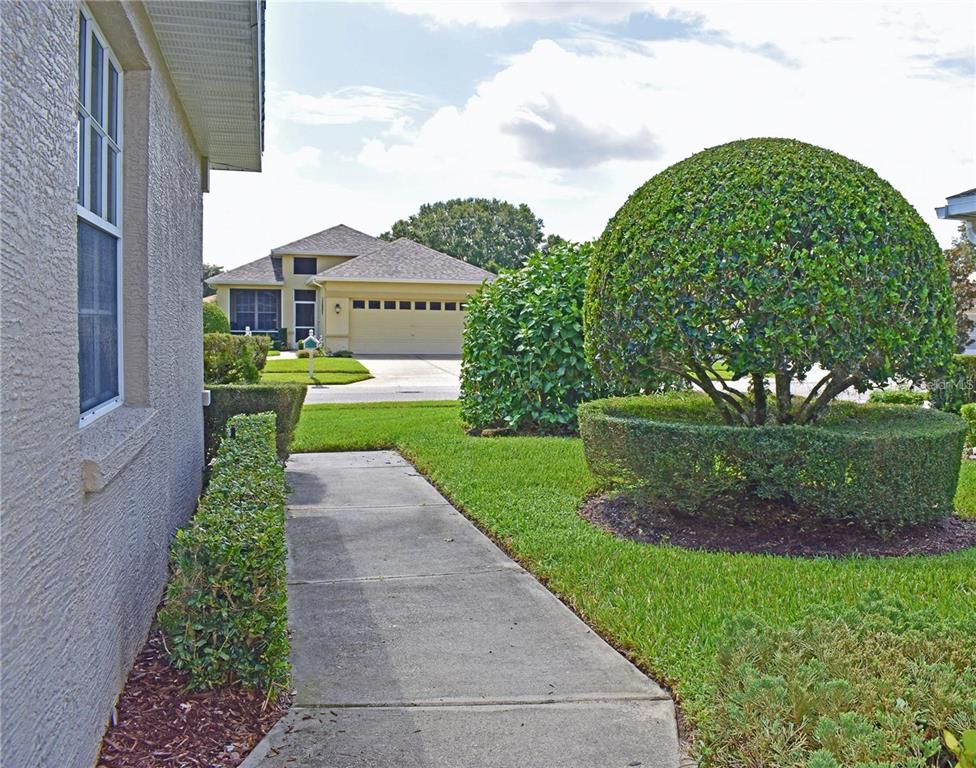 14499 Tamarind Loop Spring Hill, FL 34609 - Photo 5 of 25