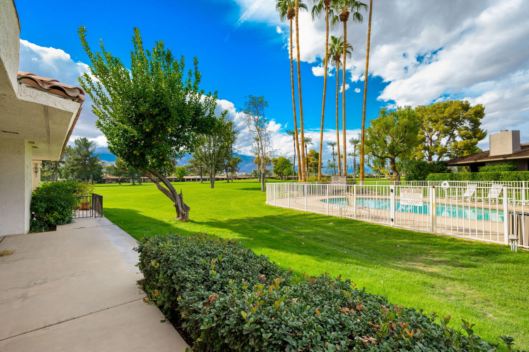 7 Tulane Court Rancho Mirage, CA 92270 - Photo 49 of 66 a view of a park with a large tree
