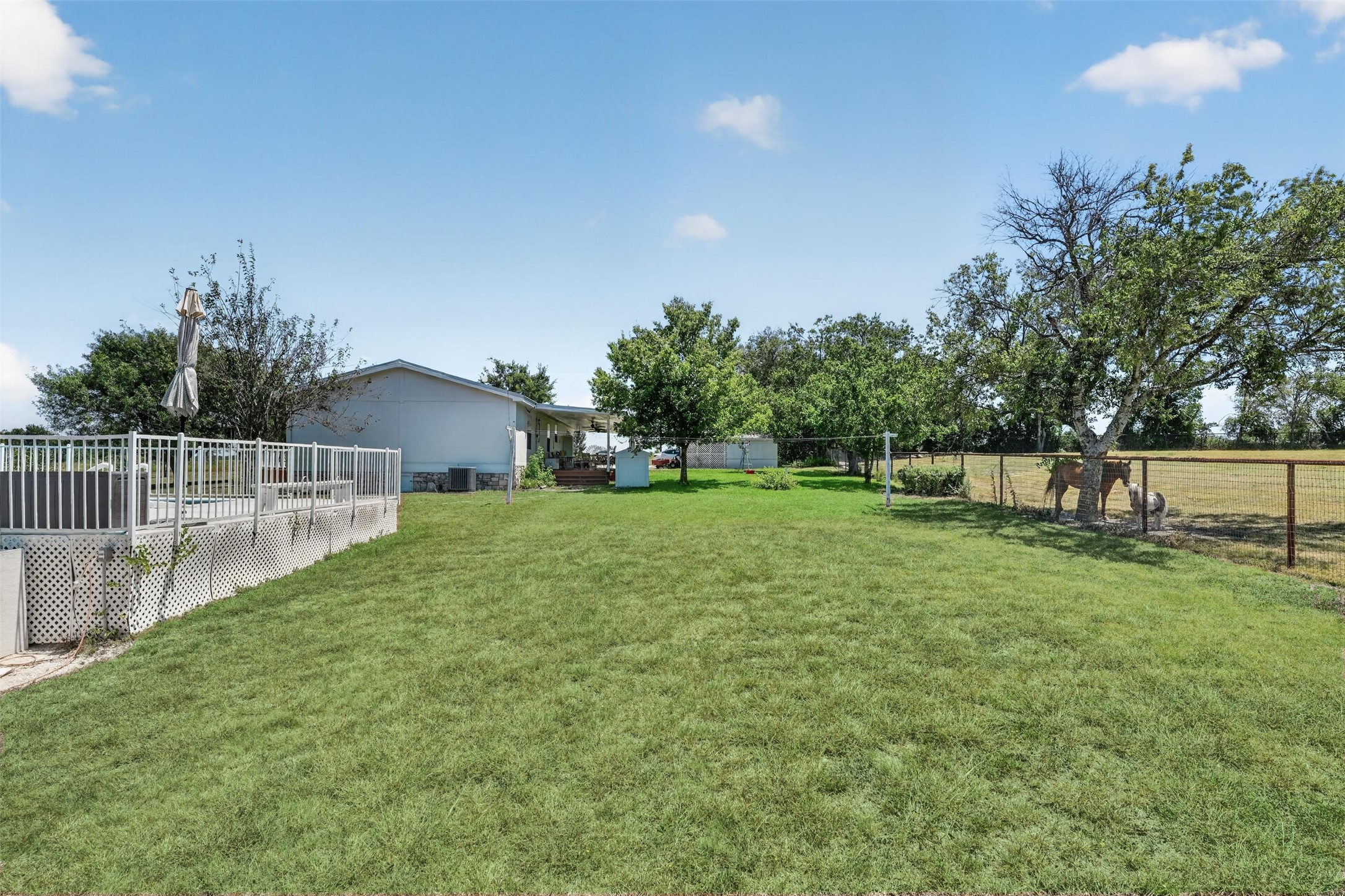 317 Rae Lane Jarrell, TX 76537 - Photo 15 of 40 A generous grassy lawn unfolds towards a spacious outdoor deck, perfect for entertaining.