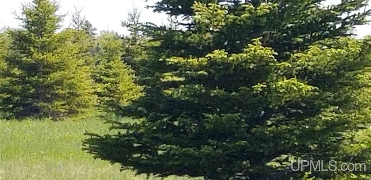 Tbd Kelly Road Gulliver, MI 49840 - Photo 9 of 20 Gallery Image 9