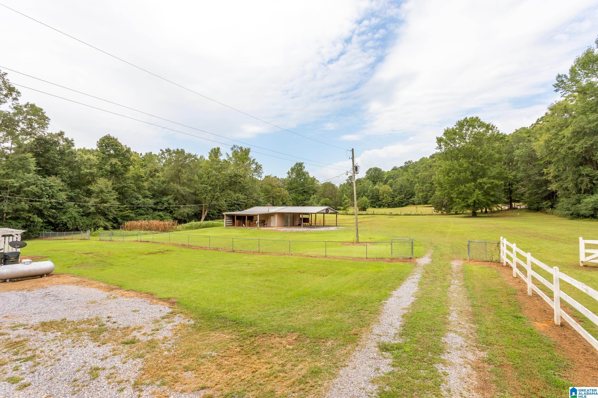 125 Homebrew Knob Ragland, AL 35131 - Photo 30 of 42