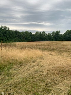 Sperry Road Vermilion, OH 44089 - Photo 5 of 13 View of local wilderness
