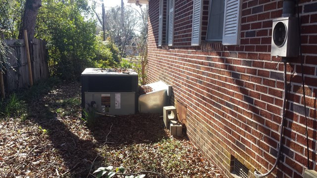 371 Walnut Street West Allendale, SC 29810 - Photo 3 of 17