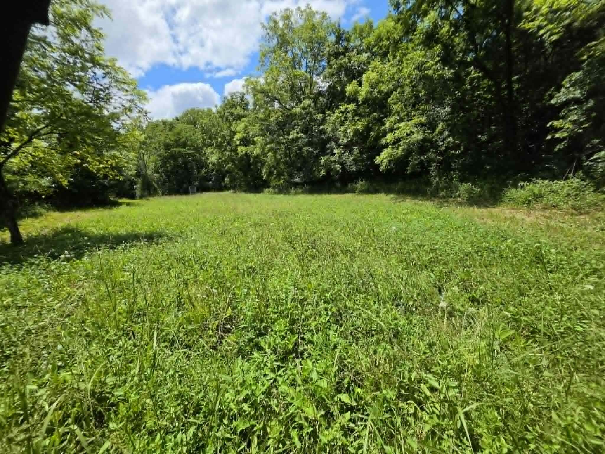 811 Hickory Ridge Road Waddy, KY 40076 - Photo 40 of 79 cleared area 3
