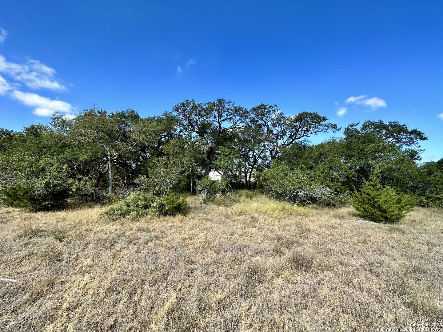 34676 Ansley Rdg Trail Bulverde, TX 78163 - Photo 3 of 13 a view of a yard with plants and a tree