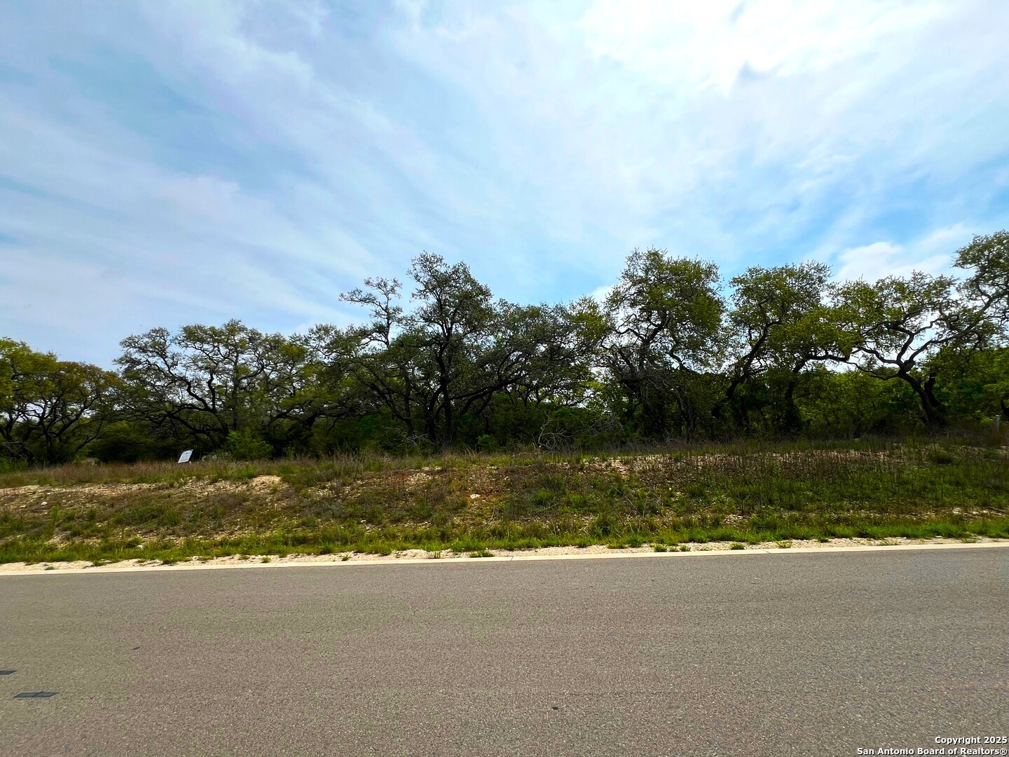34676 Ansley Rdg Trail Bulverde, TX 78163 - Photo 4 of 13 a view of a lake view