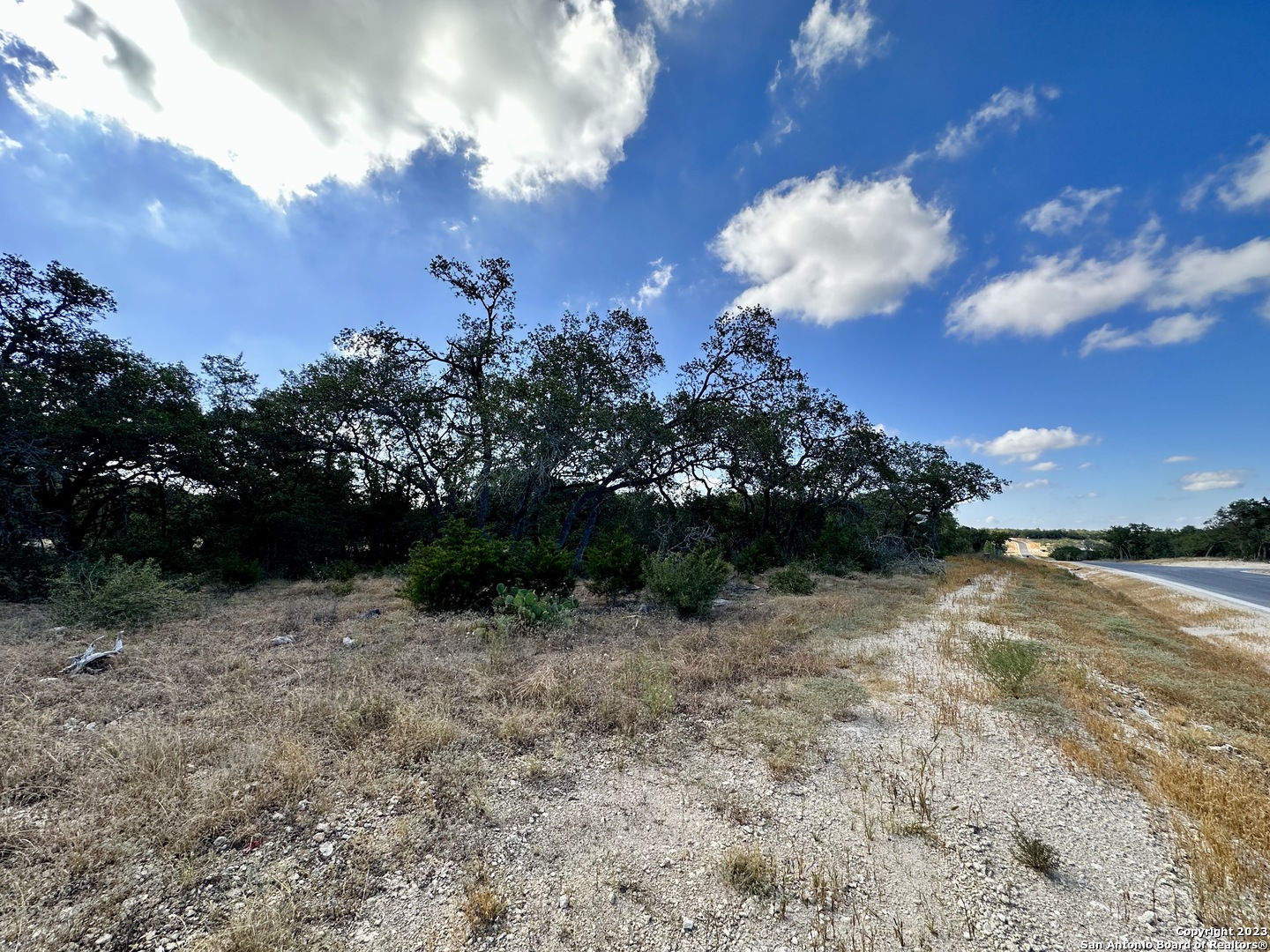 34676 Ansley Rdg Trail Bulverde, TX 78163 - Photo 5 of 13 a view of backyard with green space