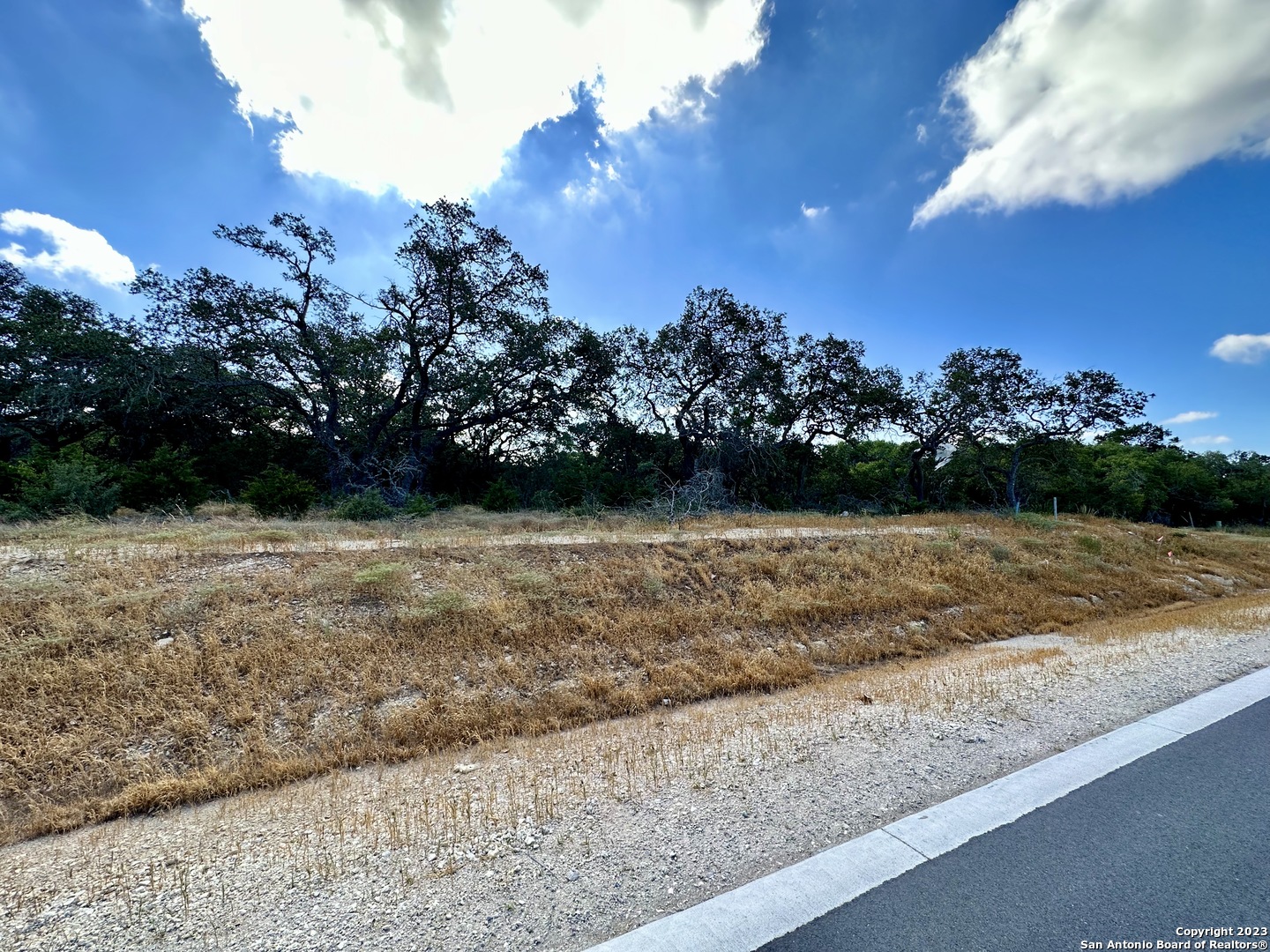 34676 Ansley Rdg Trail Bulverde, TX 78163 - Photo 9 of 13 a view of outdoor space and yard