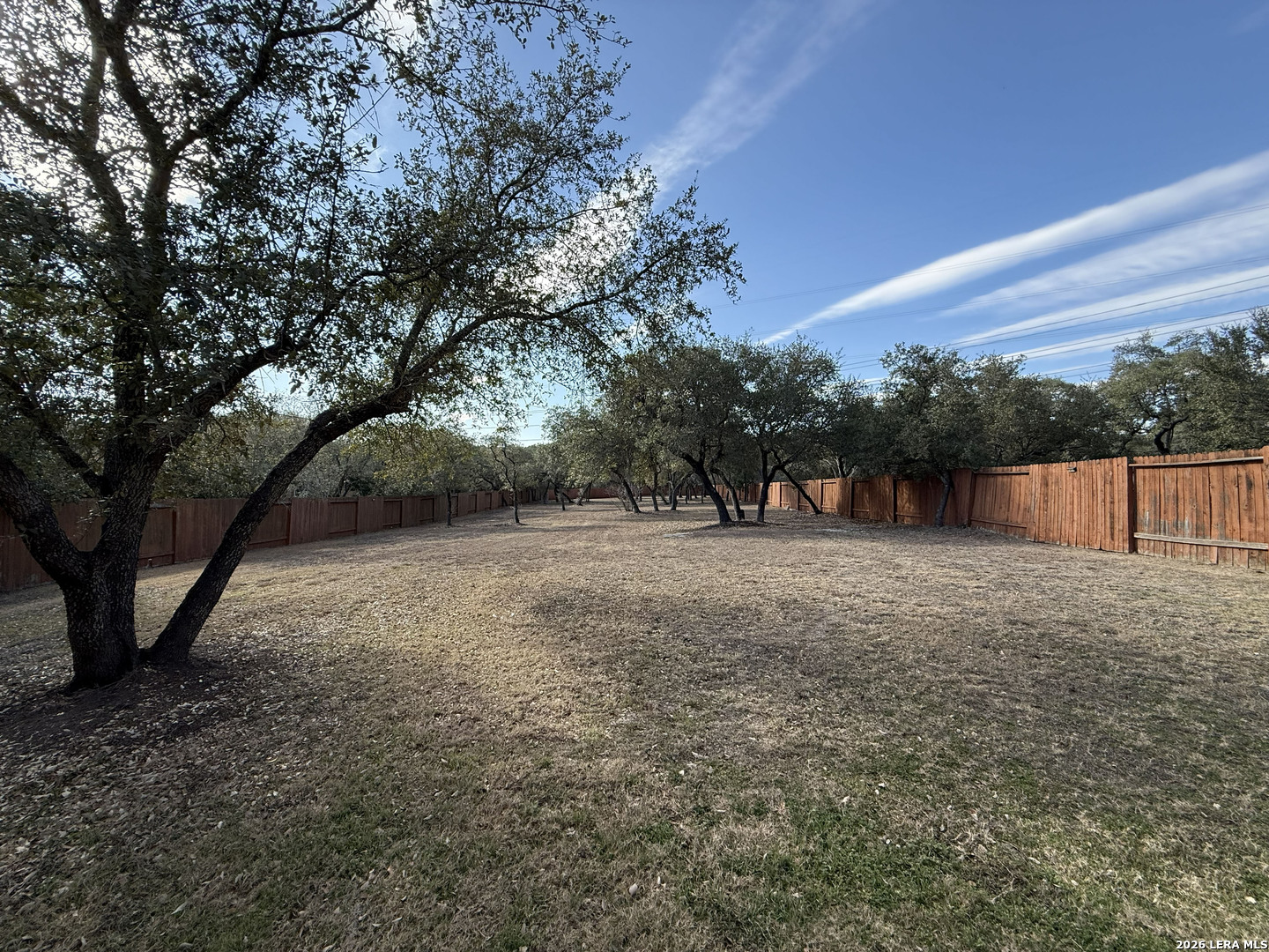 16015 Ponderosa Pth Helotes, TX 78023 - Photo 46 of 49 a view of outdoor space with trees