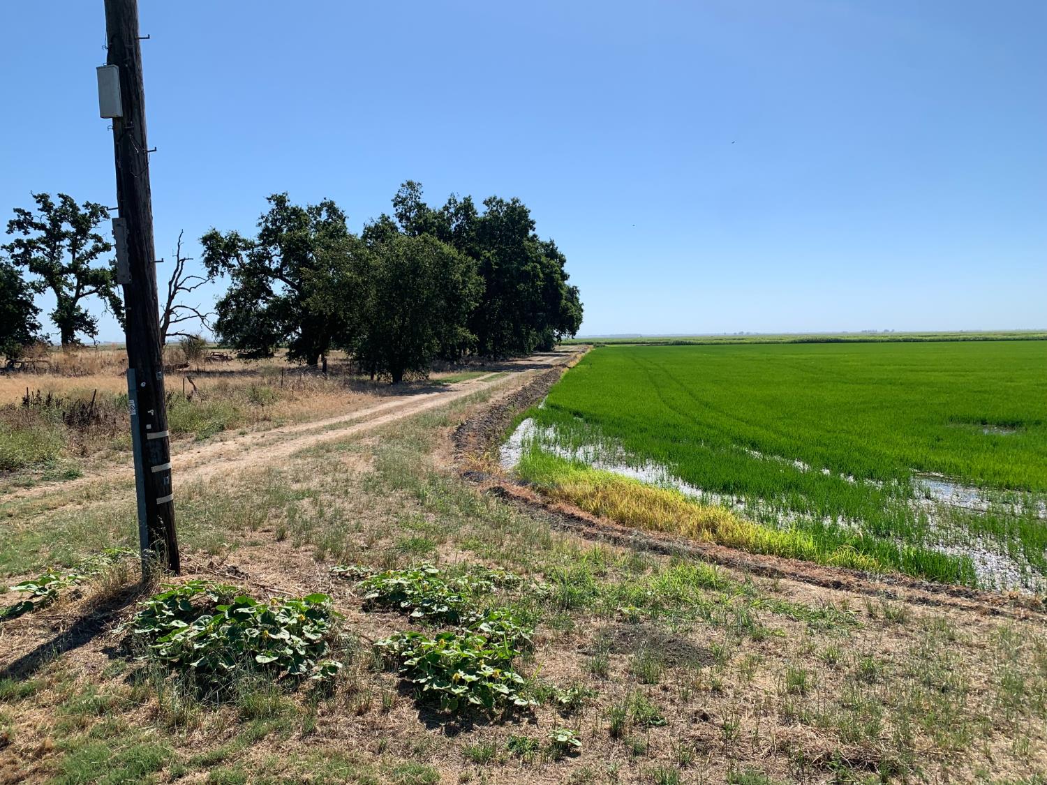 0 10658 Fasig Road Meridian, CA 95957 - Photo 10 of 11