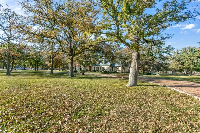 a view of backyard with tree