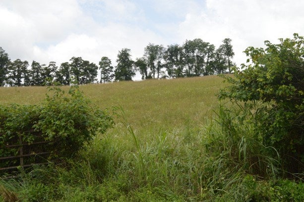 Tbd Cedar Branch Road Saltville, VA 24370 - Photo 40 of 41 Gallery Image 40