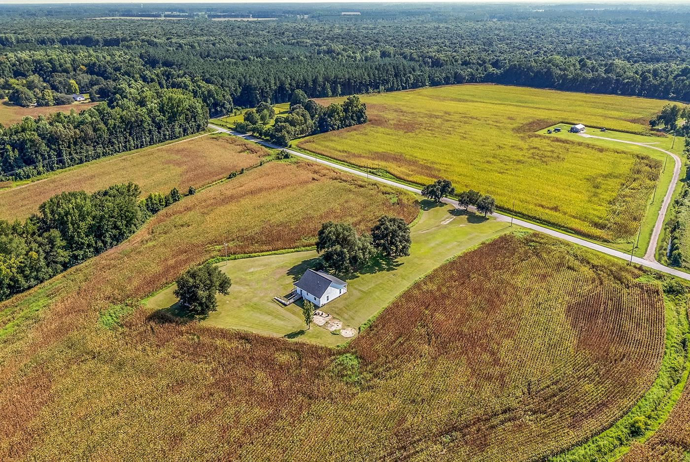 3568 State Rd S-14-401 Alcolu, SC 29001 - Photo 25 of 65 Gallery Image 25