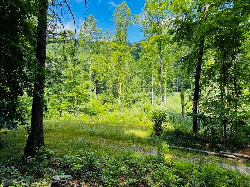3770 Gravely Hill Road Ripplemead, VA 24150 - Photo 28 of 38 Gallery Image 28