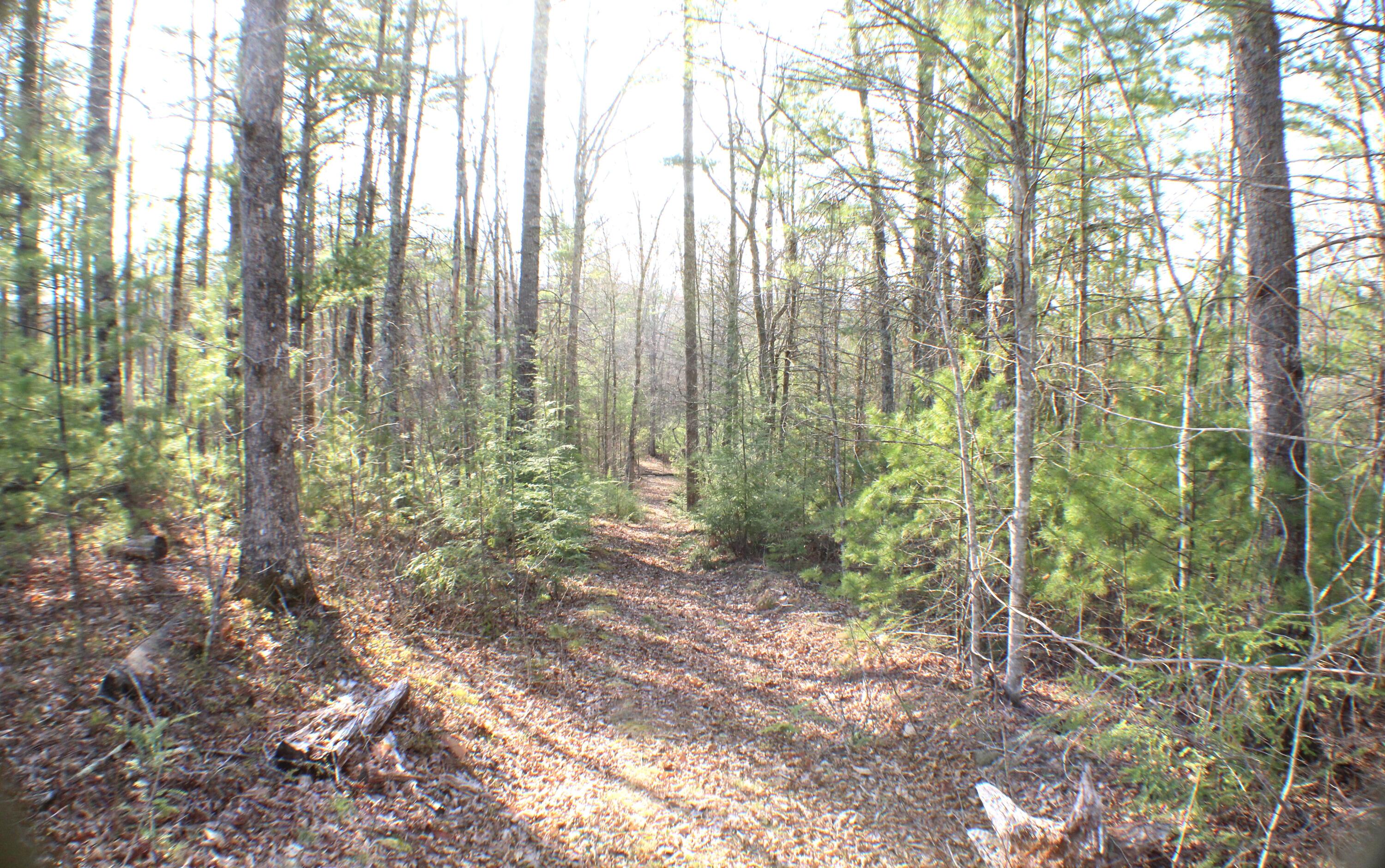 445 Rider Gap Road Marlinton, WV 24954 - Photo 24 of 26 Gallery Image 24
