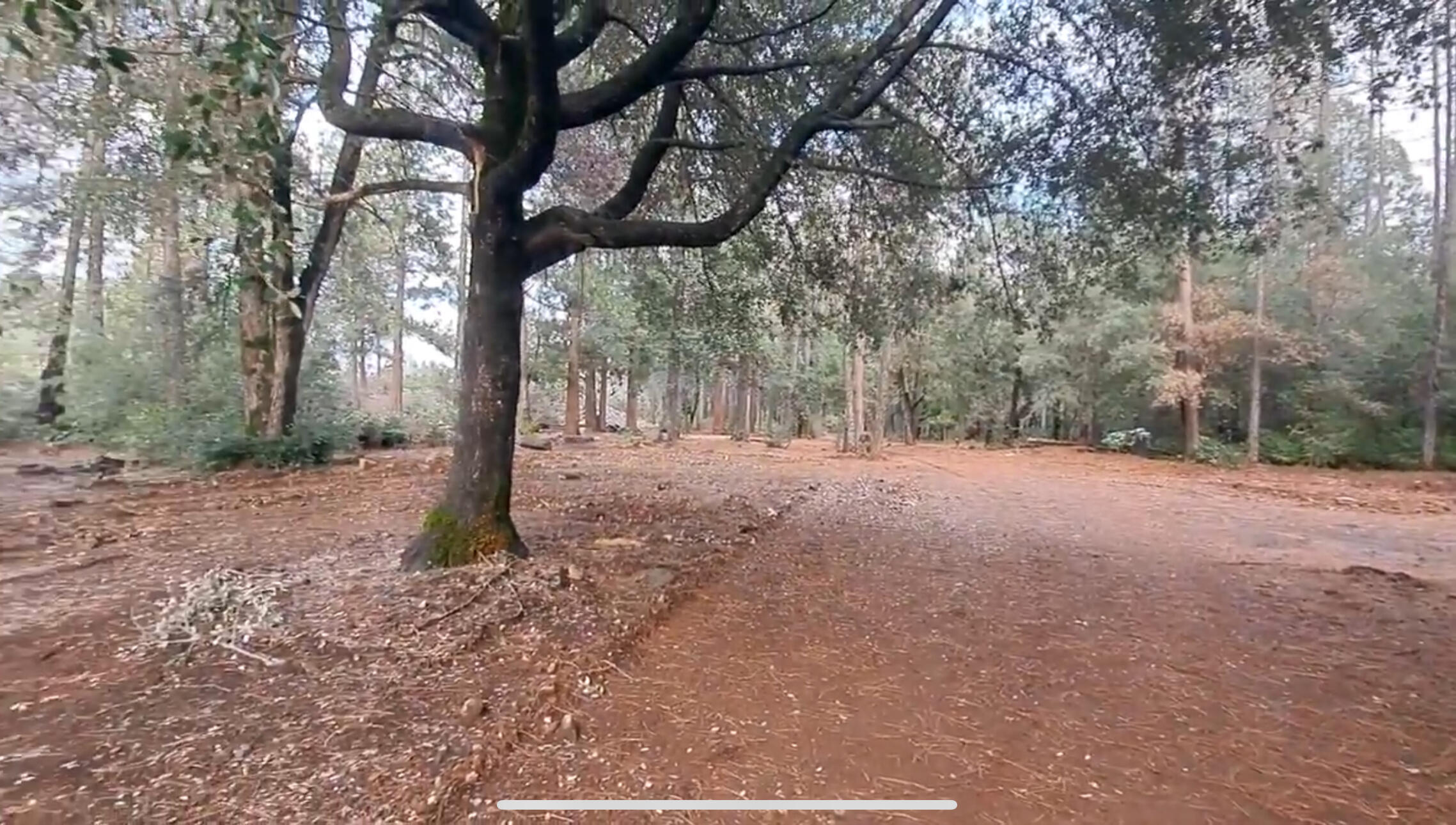 Inwood Road Shingletown, CA 96088 - Photo 2 of 5 D7BF4376-6D9C-44EB-926A-97C72F164173_1_2