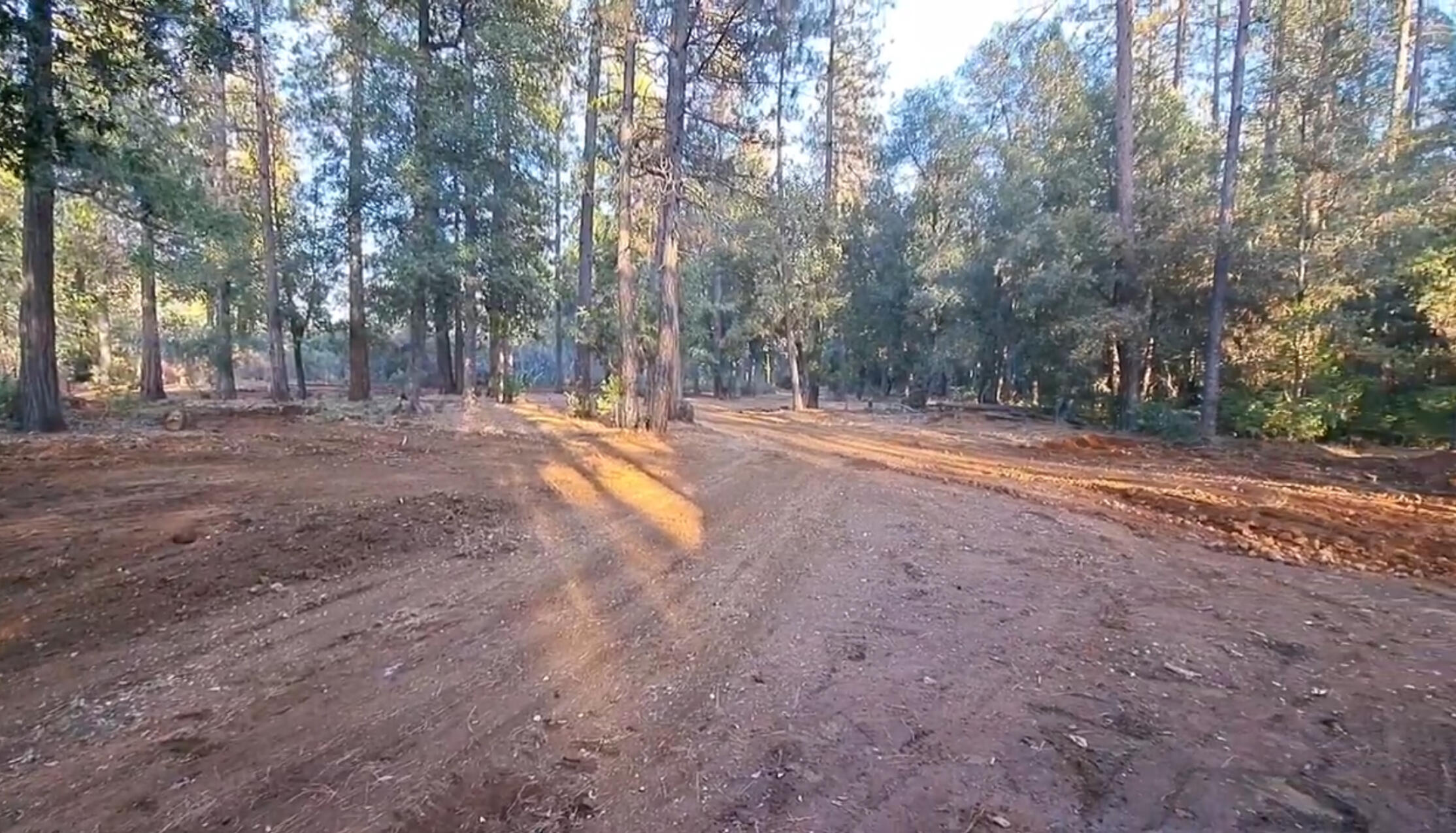 Inwood Road Shingletown, CA 96088 - Photo 3 of 5 01849A77-7EE5-46A6-8512-3D6C65CA7E21_1_2