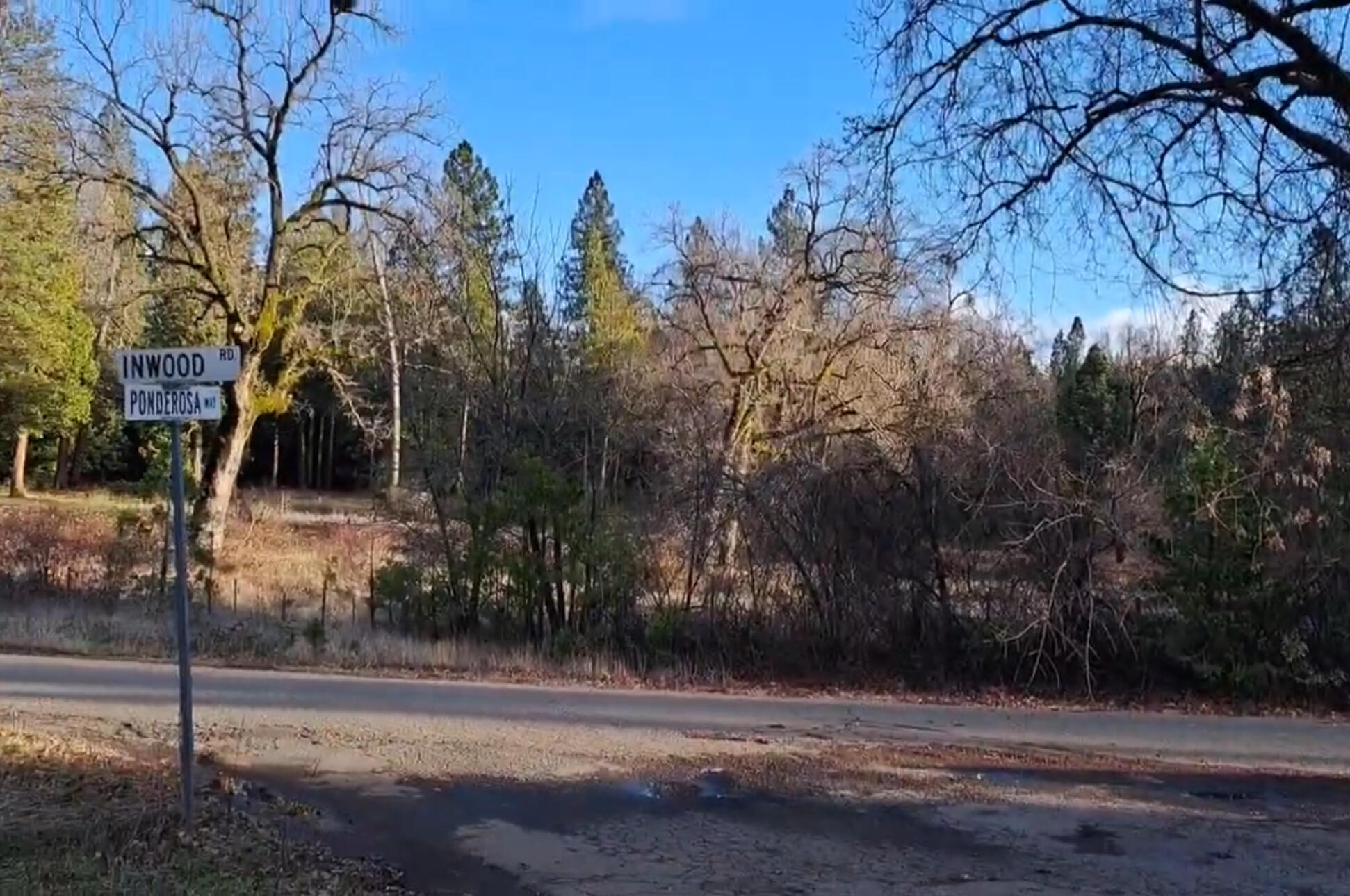Inwood Road Shingletown, CA 96088 - Photo 5 of 5 B7CF3F72-2774-412B-B1BD-6A85C2ECECA5_1_2