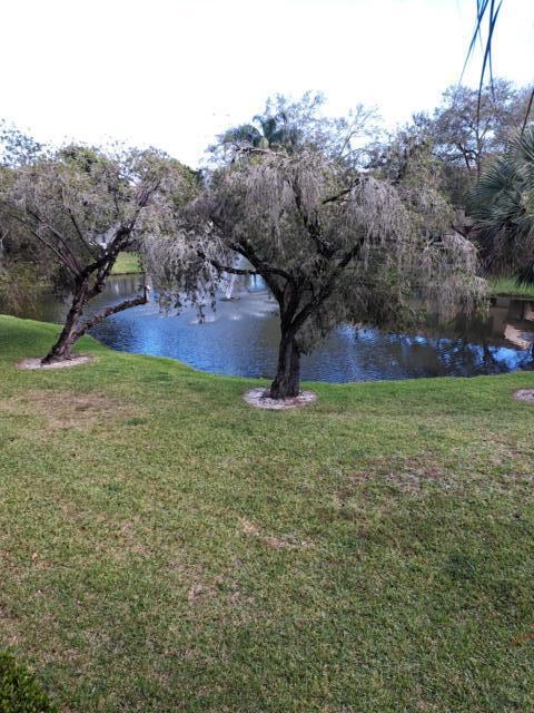 701 Lyons Road, Unit 13208 Coconut Creek, FL 33063 - Photo 21 of 31 a view of yard with tree in the background